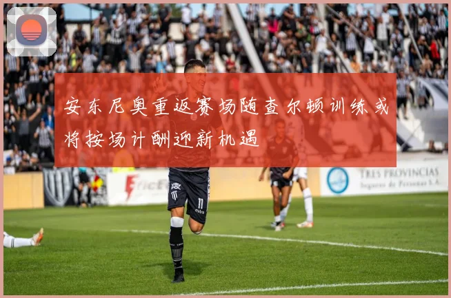 安东尼奥重返赛场随查尔顿训练或将按场计酬迎新机遇