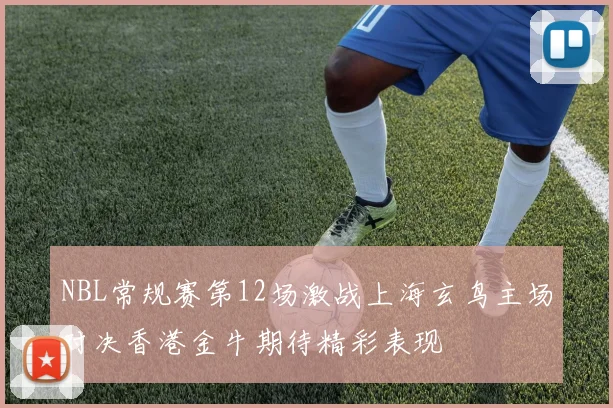 NBL常规赛第12场激战上海玄鸟主场对决香港金牛期待精彩表现