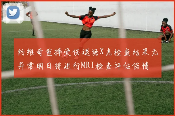 约维奇重摔受伤退场X光检查结果无异常明日将进行MRI检查评估伤情
